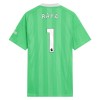Original Fußballtrikot Arsenal Raya 1 Torwart 2025-26 Grüne Für Herren